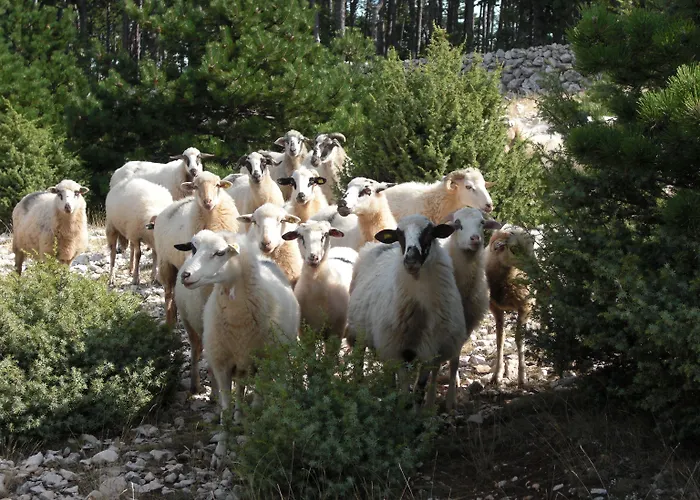 Panzió Eola Leisure